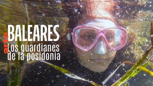 Baleares: Los guardianes de la posidonia Documental Traducción de subtítulos + voice-over