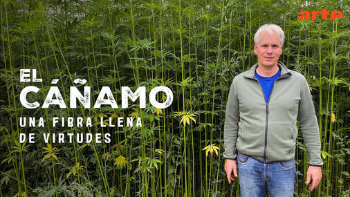 El cáñamo, una fibra llena de virtudes Documental Traducción de subtítulos + voice-over